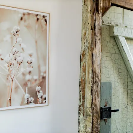 Dwellstay - Zuse Hoefe * 바트헤르스필드