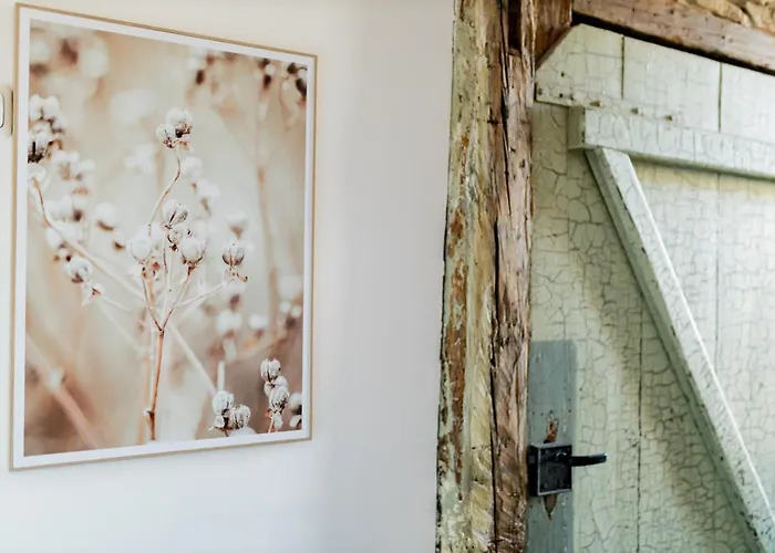 Dwellstay - Zuse Hoefe * Bad Hersfeld